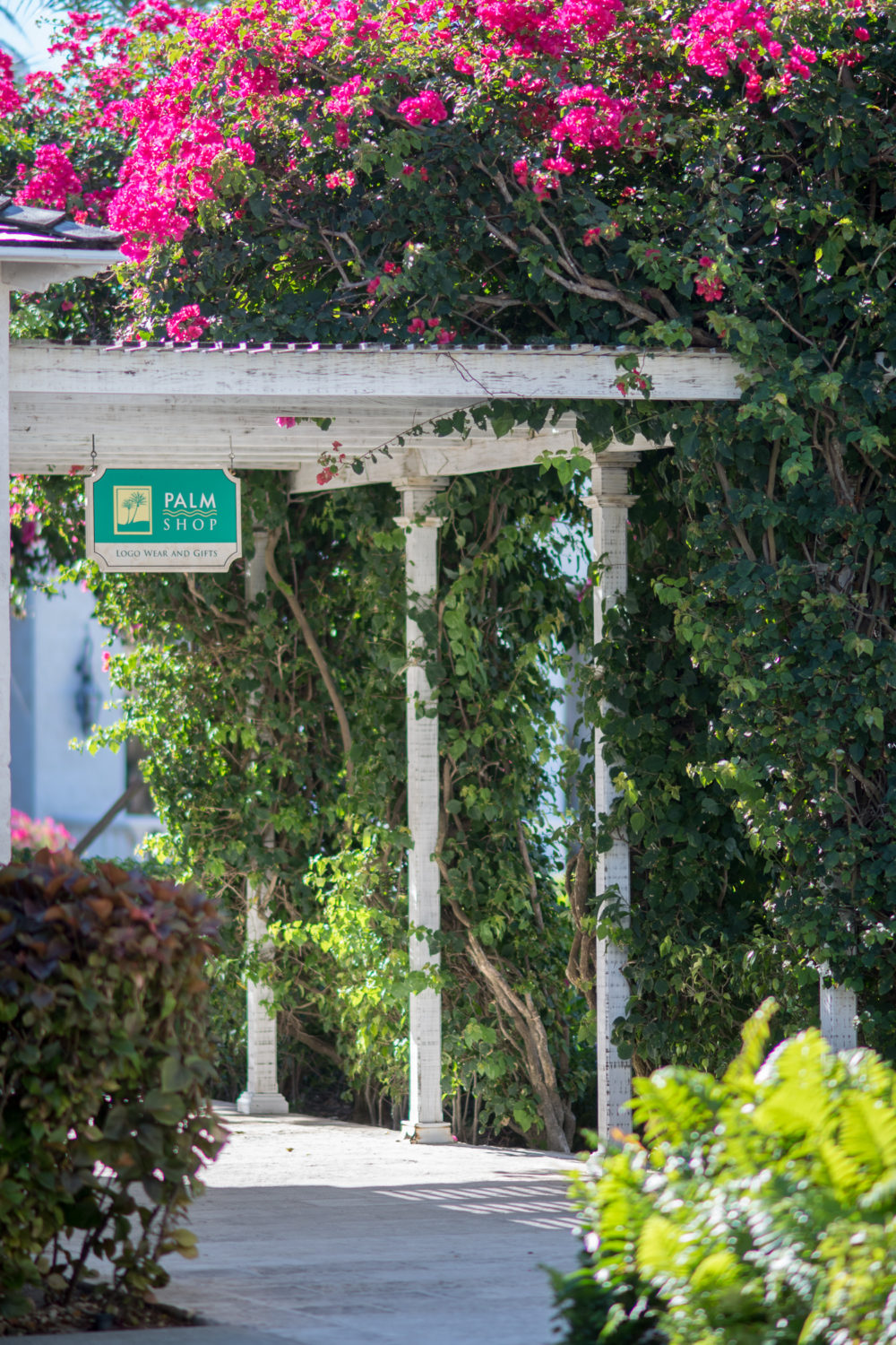 Petite Fashion and Style Blog | The Palms Turks and Caicos Review