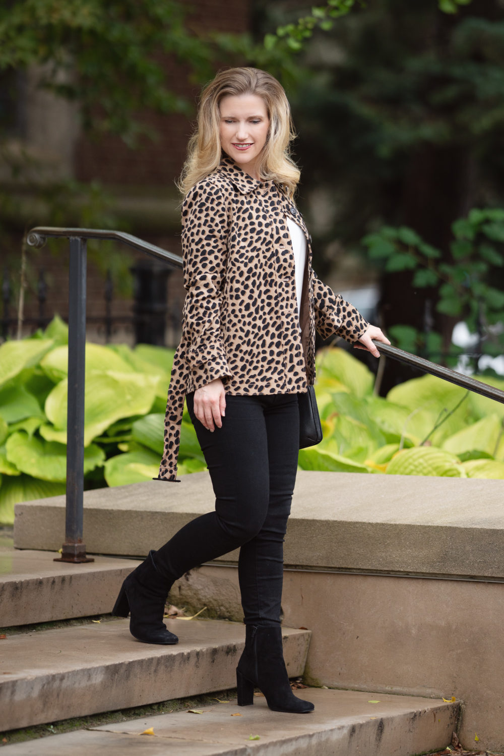 Petite Fashion and Style Blog | Ann Taylor Cheetah Dot Short Trench