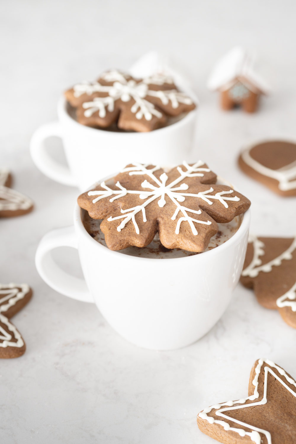 Petite Fashion and Style Blog | Gingerbread Latte Recipe | Torani Syrups