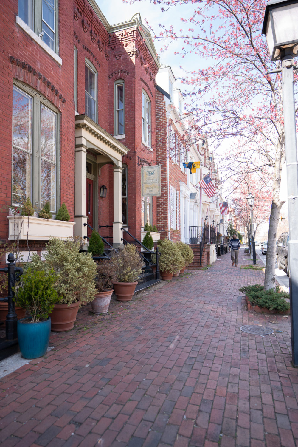 Alexandria Virginia