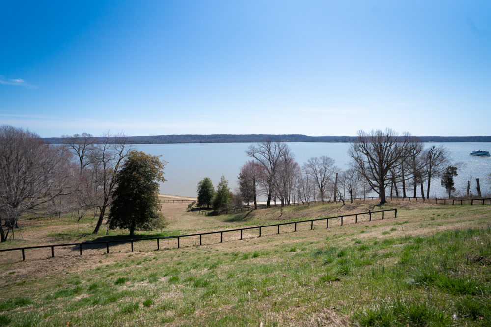 Petite Fashion Blog | Mount Vernon View | Washington DC Travel Guide