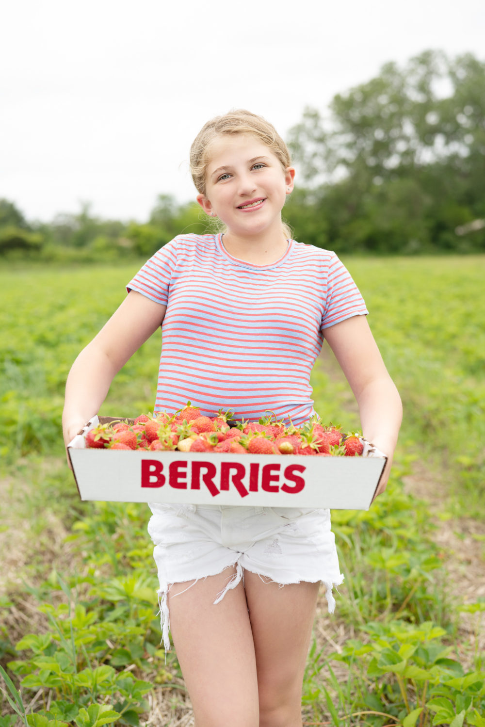 Petite Fashion Blog | Strawberry picking season Levi's shorttalls | Sea and Grass straw bag